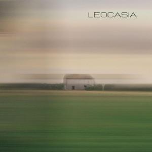 Leocasia